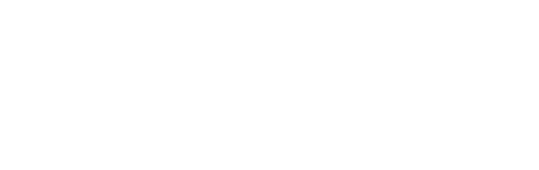 temu-logo